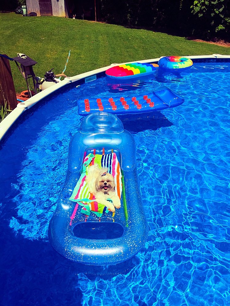 image of business K Built Construction Pools and Spas