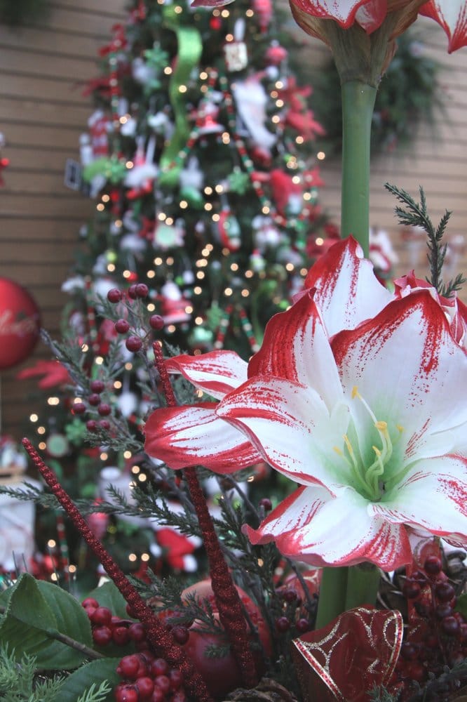 K & W Greenery Nurseries & Gardening 1328 Hwy 14 E, Janesville, WI