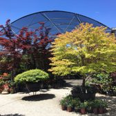 High Hand Nursery 435 Photos 98 Reviews Nurseries Gardening Photo Of High Hand Nursery Loomis Ca United States Wow