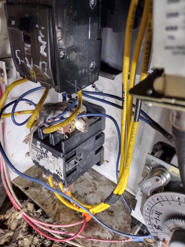 image of business Dream Starter HVAC Solutions & Home Improvement