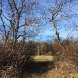 Collis P Huntington State Park 14 Photos Arts & Entertainment 82