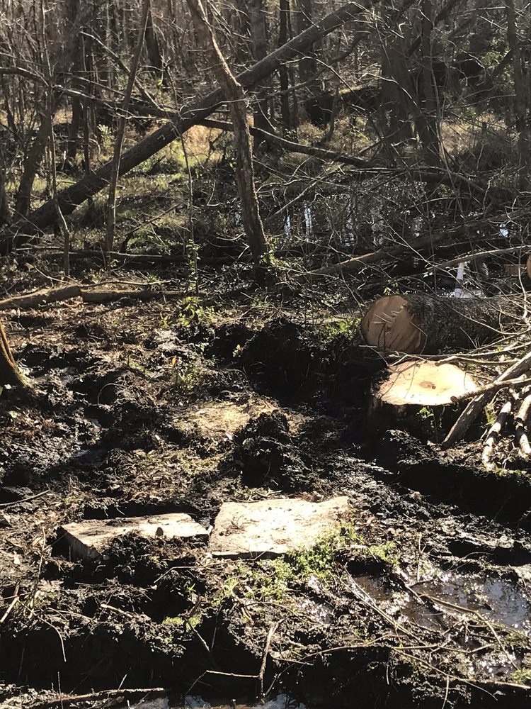 Top Flight Tree Service