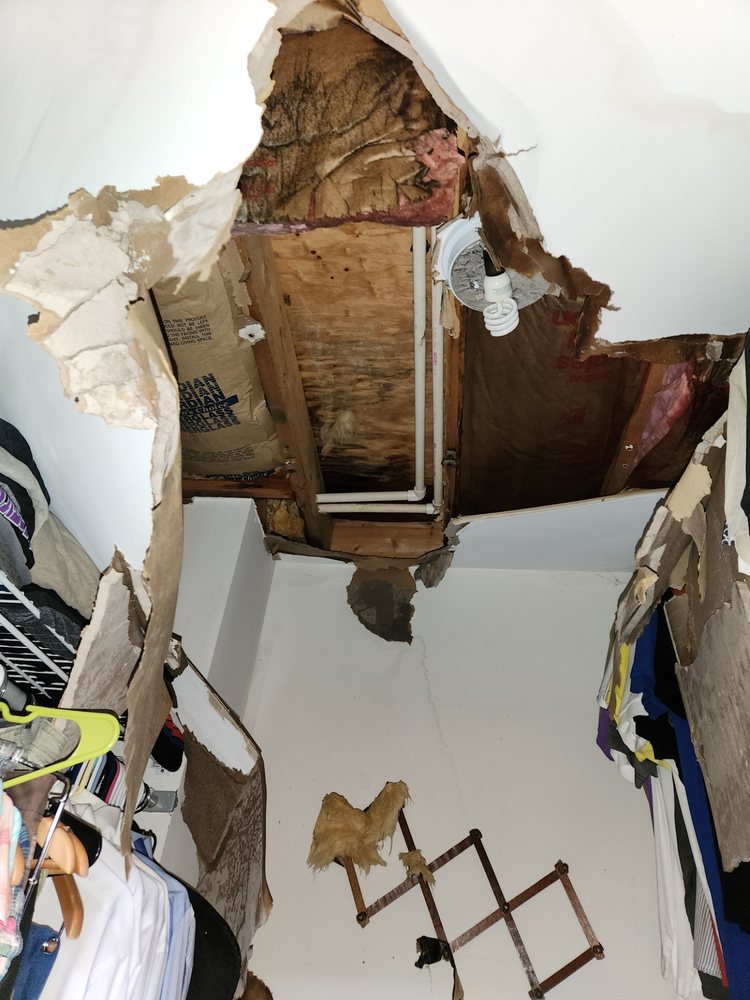 Newcomb  Maintenance Company