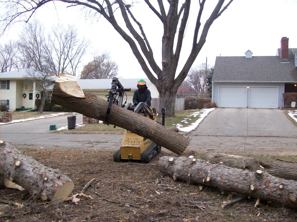 American Arborist Tree Services Omaha, NE Phone Number Yelp