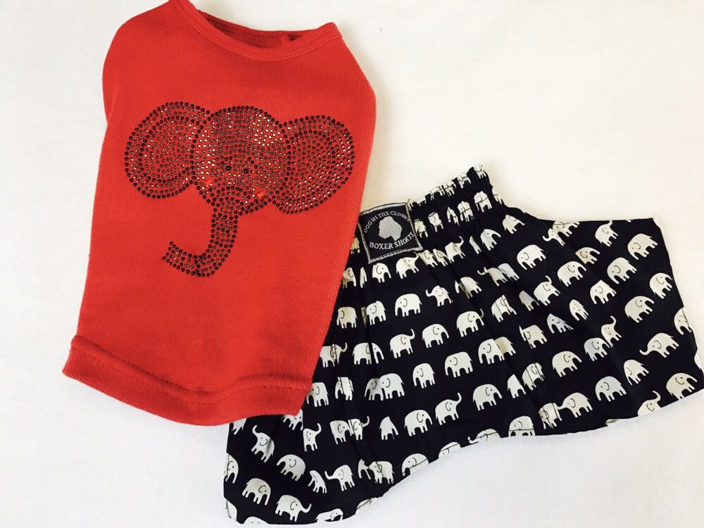 Luv Bugs Bow Wow Boutique