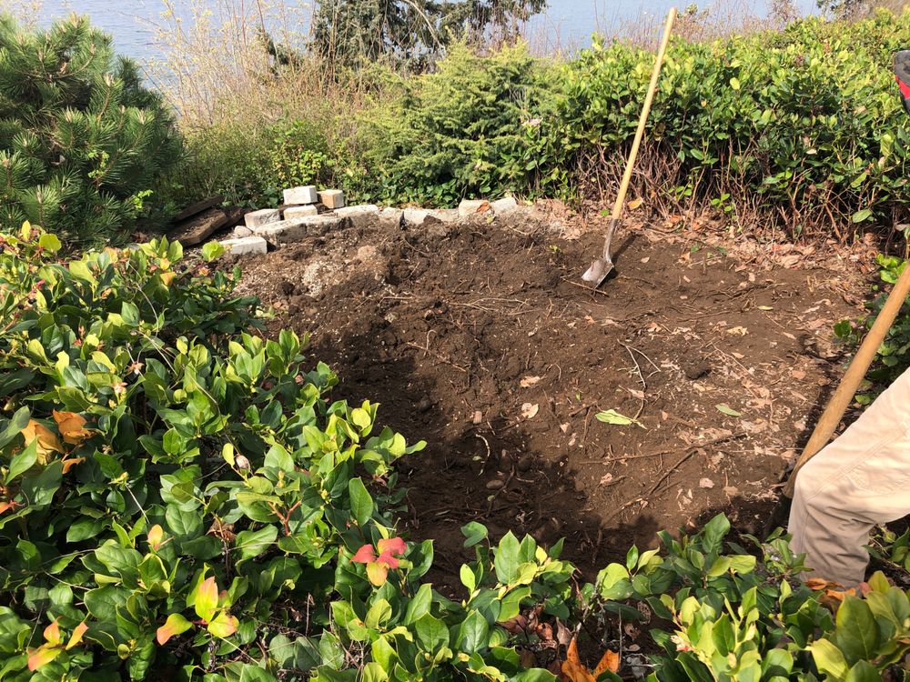 Skill, A Professional Handyman