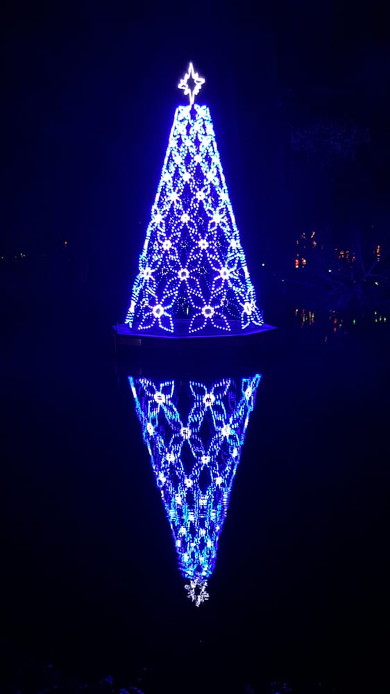James Island Festival Of Lights 117 Photos & 33 Reviews Festivals