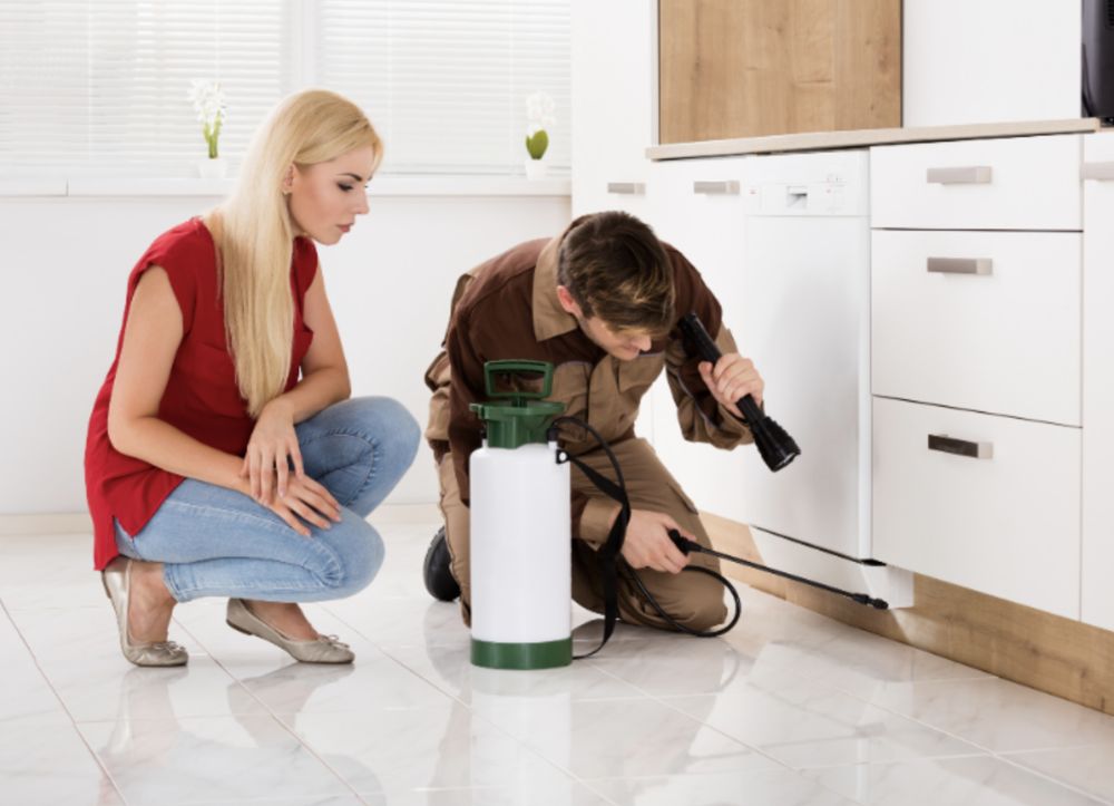 Bug-A-Meister Pest Control