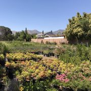 Macias Nursery 2019 All You Need To Know Before Go With