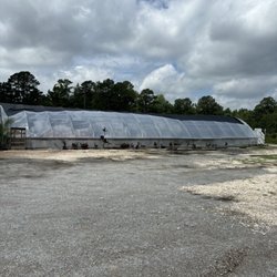 Carolina Seasons Nursery photo