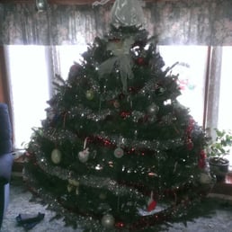 kall christmas tree farm temp closed 15 photos kall christmas tree farm temp closed 15 photos