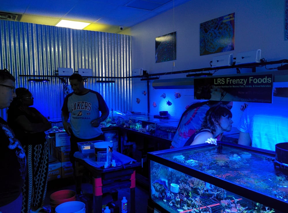 Aquatic Treasures 124 Photos & 37 Reviews Aquarium Services 3211