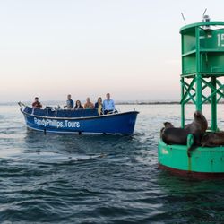 Boat Charters In San Go Yelp Best Rated San Go