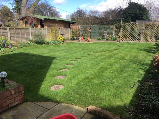 Yelp Reviews For Green Man Lawn Care New Gardeners 25 Yelp Reviews For Green Man Lawn Care New Gardeners 25