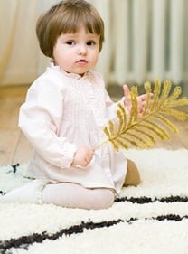 Heaven's Best Carpet Cleaning