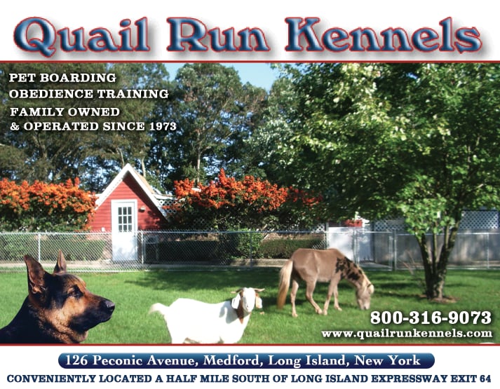 Quail Run Kennels 14 Reviews Pet Training 126 Peconic Ave
