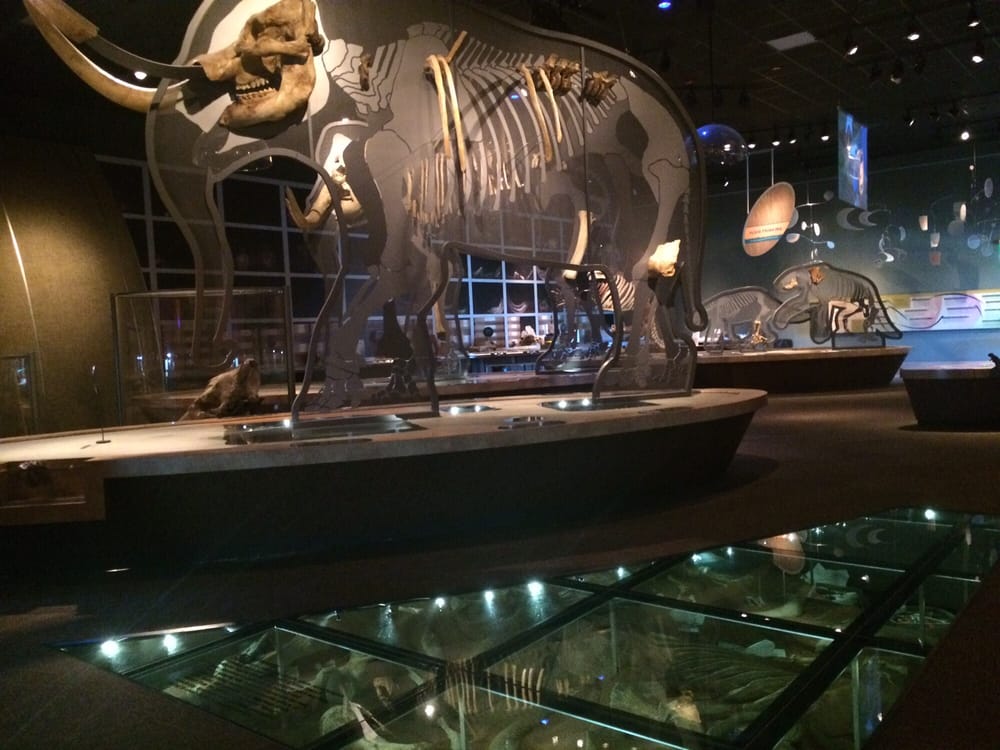 Western Science Center 23 Photos Museums 2345 Searl Pkwy Hemet