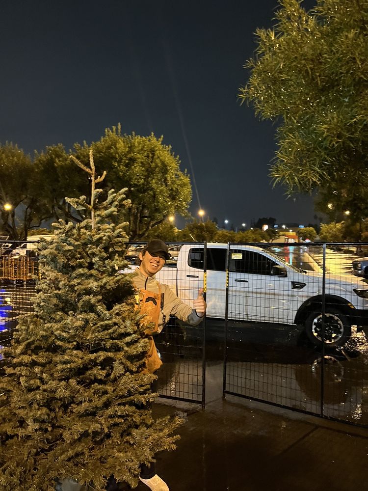 The Home Depot