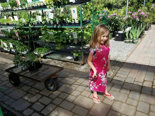 West End Nursery 1938 5th Ave San Rafael Ca Nurseries West End Nursery 1938 5th Ave San Rafael Ca Nurseries