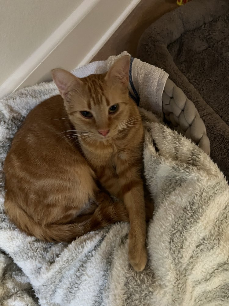 Cracker Barrel Old Country Store