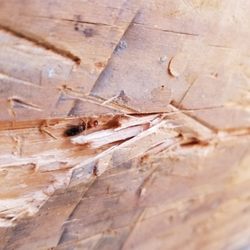 Best Stock Lumber In Burbank Ca Last Updated December 2018 Yelp 3