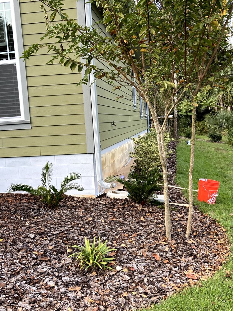 image of business Jose