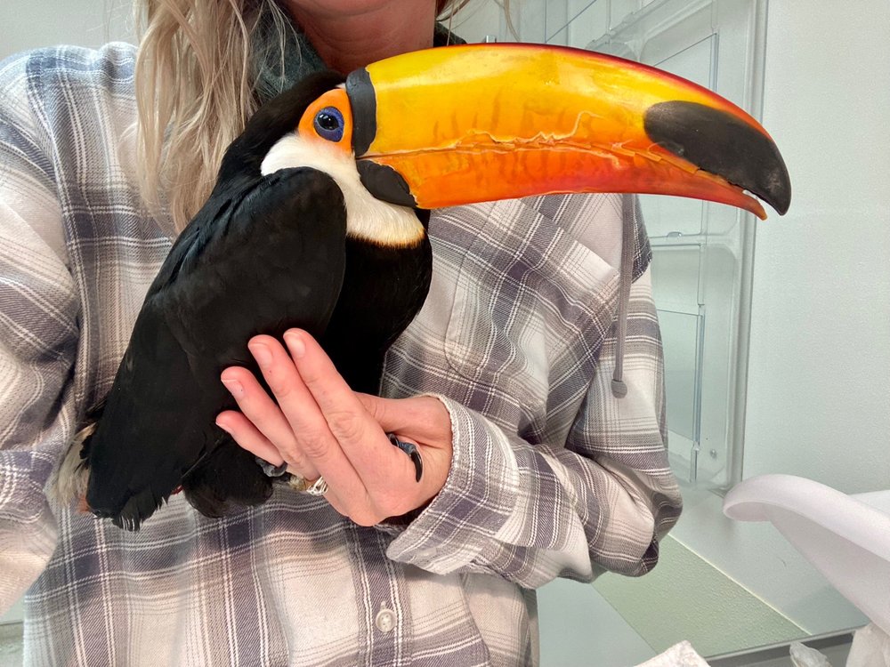 WSU Veterinary Teaching Hospital