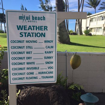 Maui Beach Hotel A Lite 170 Photos 159 Reviews Hotels Photo Of Maui Beach Hotel A Lite Kahului Hi United States