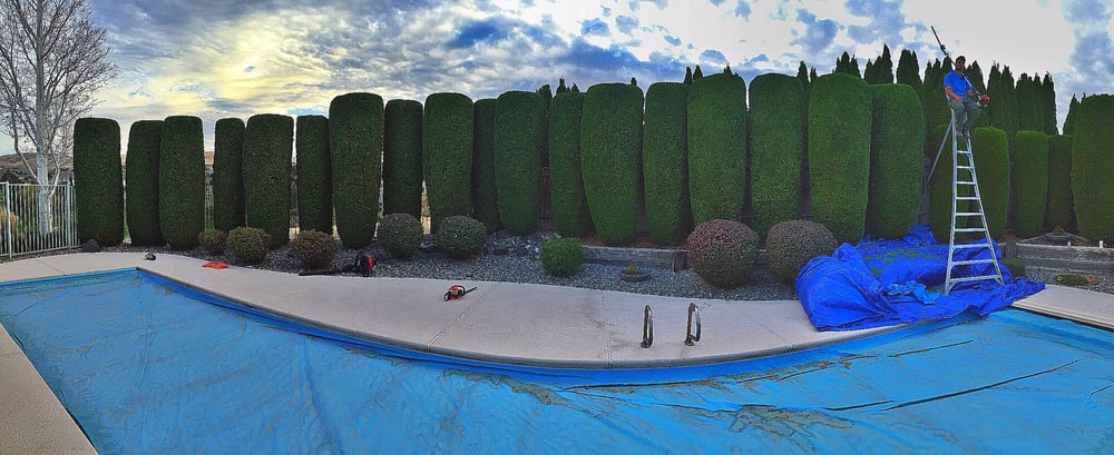 Trent's Lawn Care & Landscaping