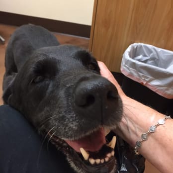 Access Woodland Hills >> Access Specialty Animal Hospital 115 Photos 499 Reviews Access Woodland Hills >> Access Specialty Animal Hospital 115 Photos 499 Reviews