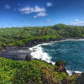 49 Black Sand Beach 128 Photos 26 Reviews Beaches 68 1107 Photo Of 49 Black Sand Beach Kamuela Hi United States