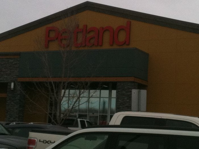 Petland