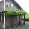 Agate Creek Cellars winery