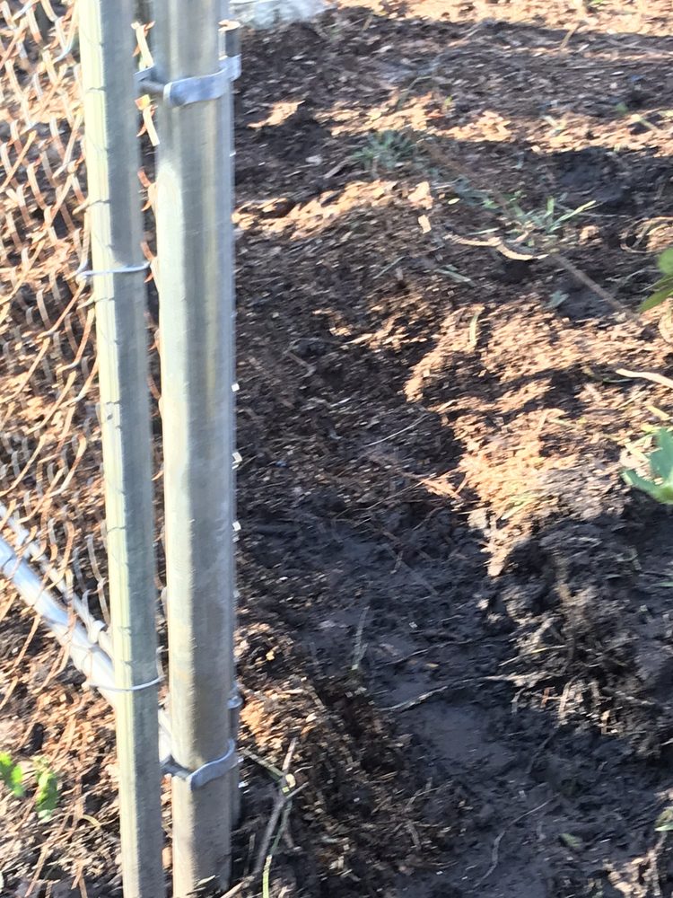 Top Flight Tree Service