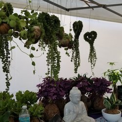 The Best 10 Nurseries Gardening In Miami Fl Last Updated 1 Kreative Gardens