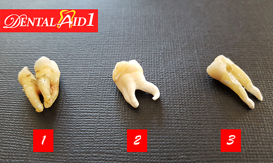 image of business Dental Aid 1