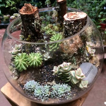 Portland Nursery 50 Photos 79 Reviews Nurseries Gardening Photo Of Portland Nursery Or United States I Found Small Plants