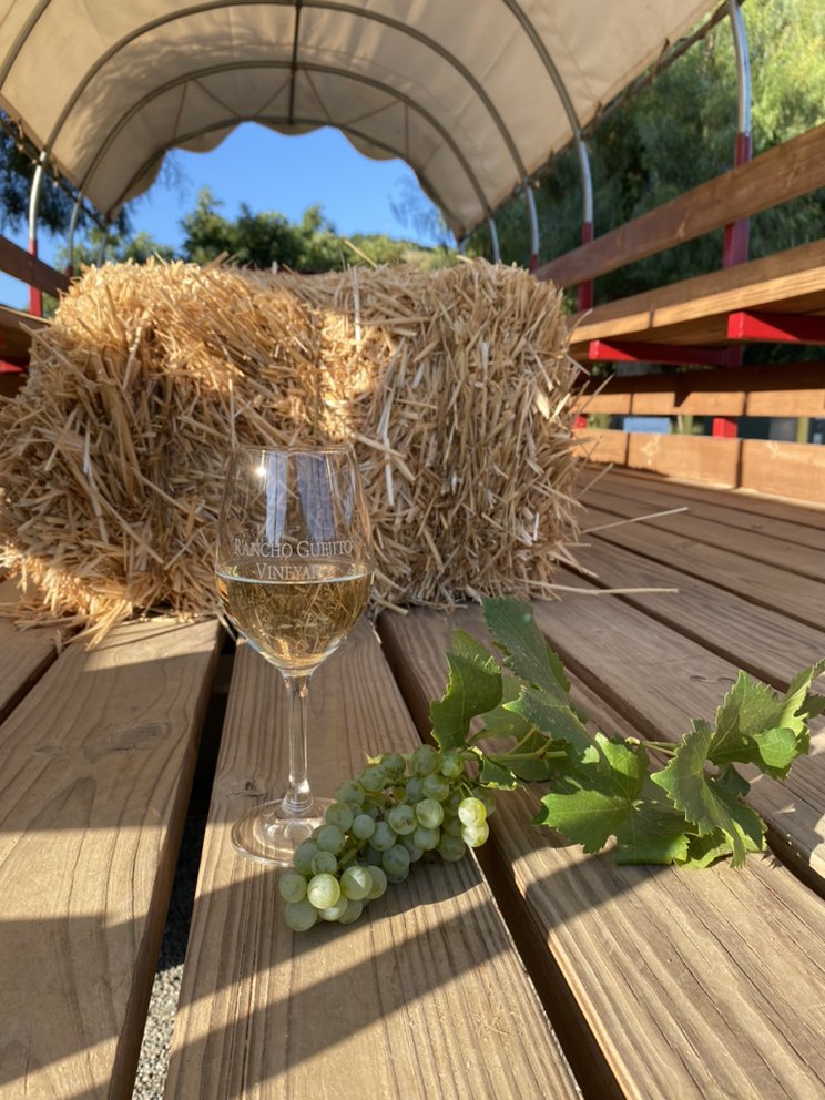 Rancho Guejito Vineyard