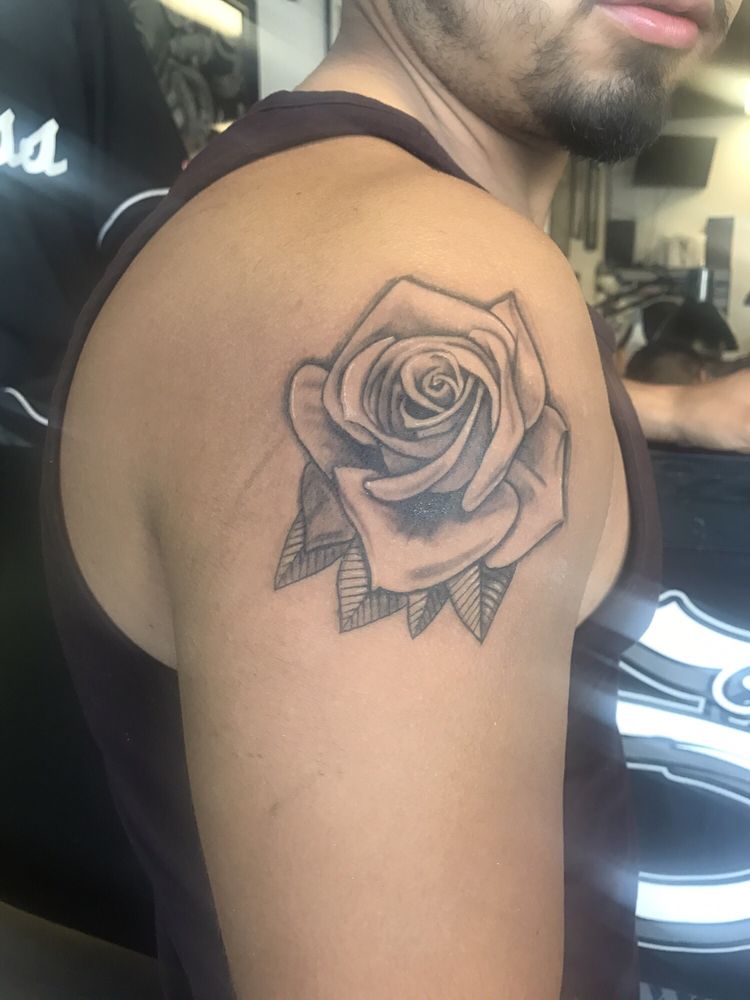 by alex yelp by alex yelp