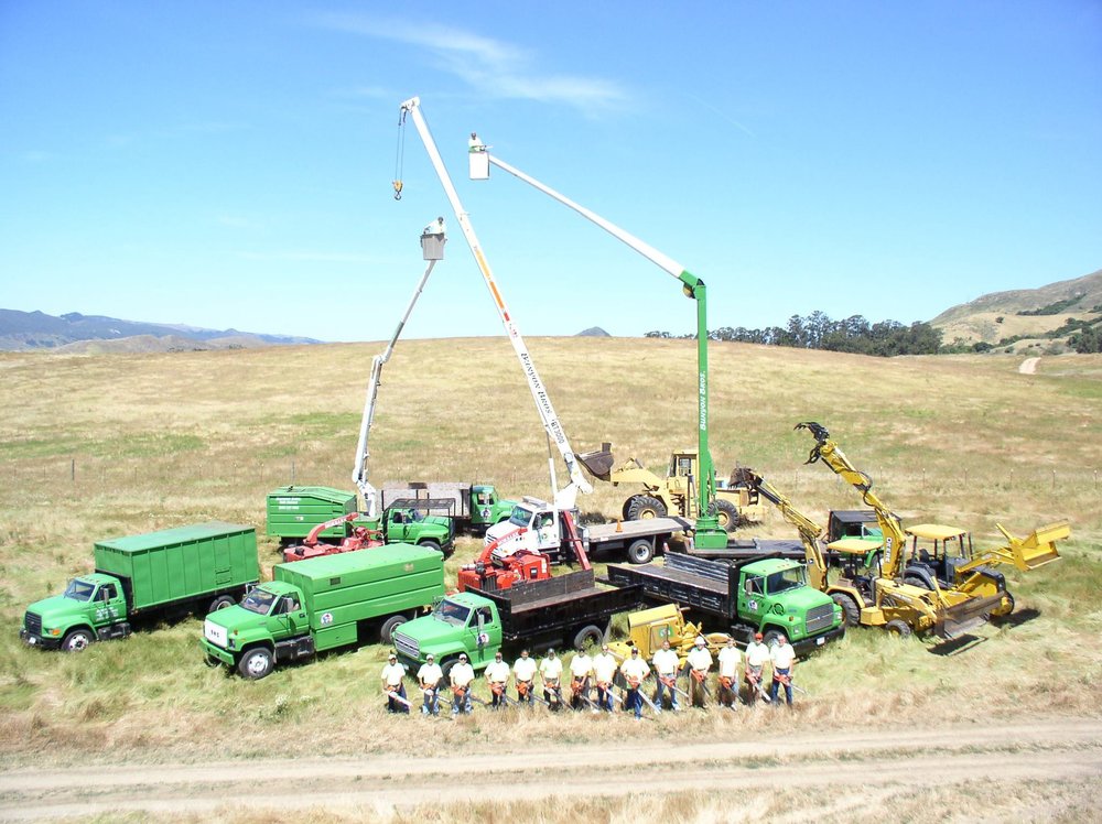 Bunyon Bros. Tree Service