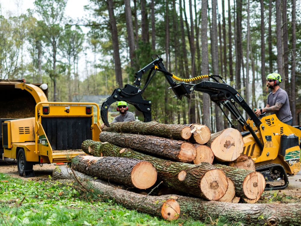 Broadleaf Tree and Shrub