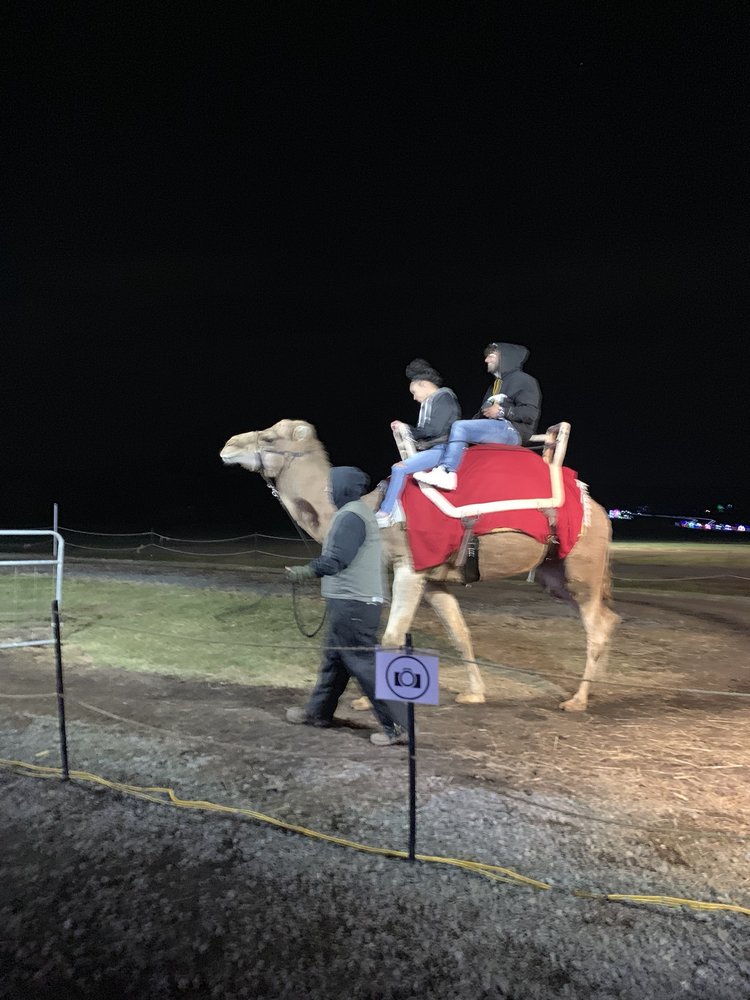 Bull Run Festival of Lights