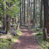 Federation Forest State Park gift card