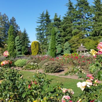 Rose Garden At Woodland Park Zoo 196 Photos 43 Reviews Parks Photo Of Rose Garden At Woodland Park Zoo Seattle Wa United States