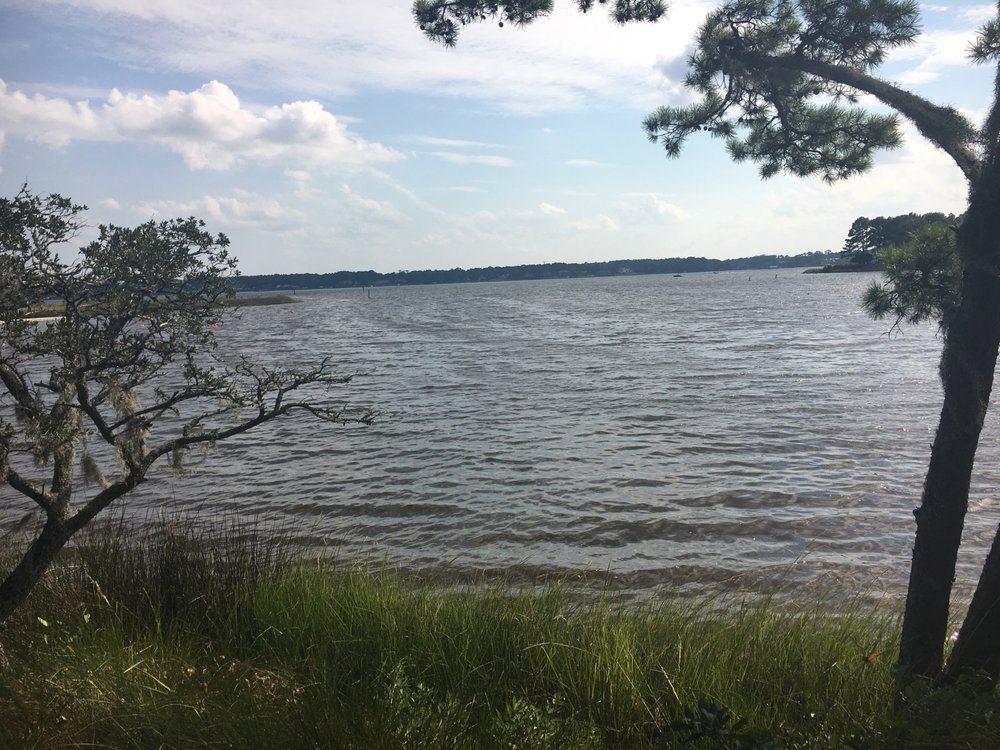 Susanne Henderson - ReWard Real Estate