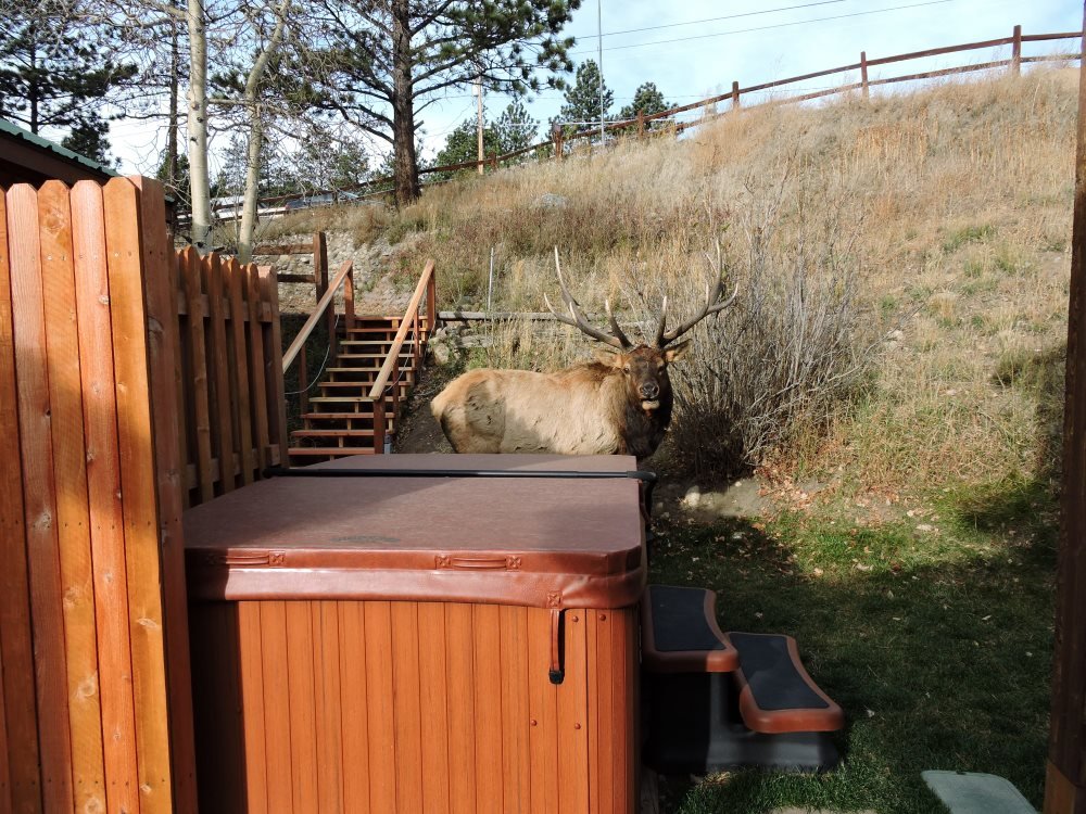 Wind River Spas 44 Photos 33 Reviews Hot Tub Pool 2940 S Wind River Spas 44 Photos 33 Reviews Hot Tub Pool 2940 S Galapago St Englewood Co Phone Number Last Updated December 15 2018 Yelp