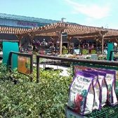 Armstrong Garden Centers 78 Photos 71 Reviews Nurseries Photo Of Armstrong Garden Centers Dublin Ca United States
