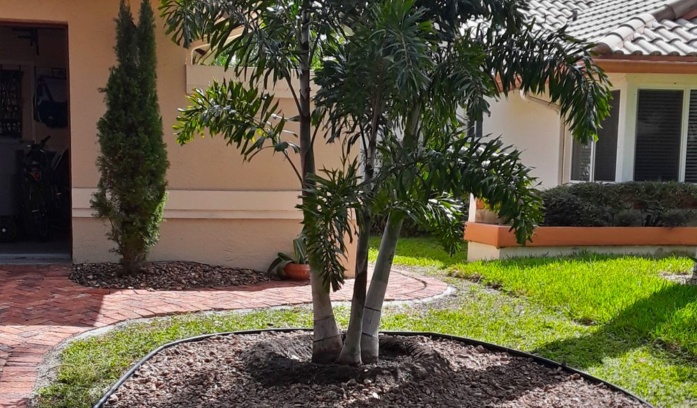 CK's Tree Service