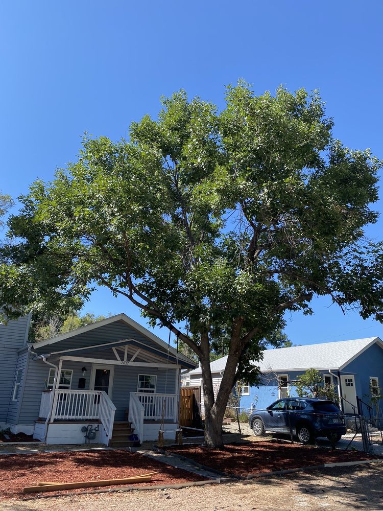 air duct cleaning,air duct cleaning near me,air duct cleaning Cañon City,air duct cleaning Cañon City, Colorado,air duct cleaning cost Mr Squid's Maintenance Solutions
