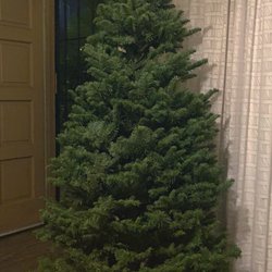 Pinery Christmas Trees 19 Reviews 1640 Camino Photo Of Pinery Christmas Trees San Go Ca United States Our Gorgeous